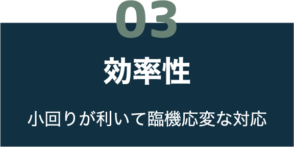03 効率性 小回りが利いて臨機応変な対応